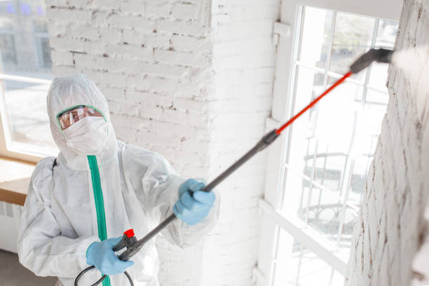 Best Commercial Mold Inspection  in Sylvania, OH